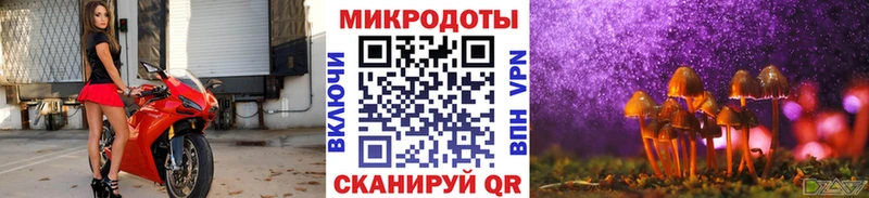 Купить  Железноводск  Галлюциногенные грибы мицелий 